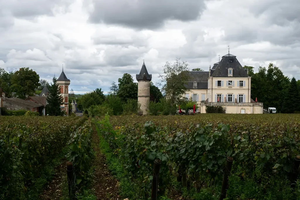 Château entouré de vignes en hiver, proposant hébergements touristiques au cœur d’un domaine viticole